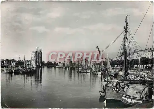 Moderne Karte La Rochelle (Chte Mme) le vieux Port Bateaux