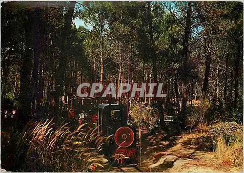 Cartes postales moderne Ile d'Oleron (Chte Mme) Petit Tramway touristique de Saint Trojan en foret Train