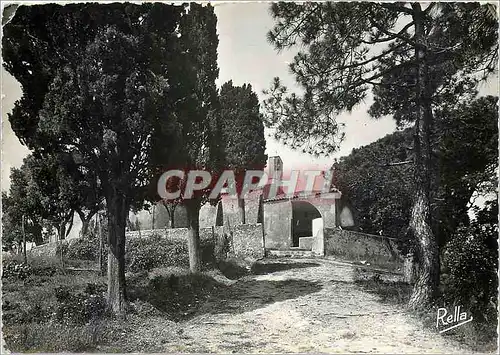 Cartes postales moderne La Cote des Maures Saint Tropez (Var) La Chapelle Saint Anne