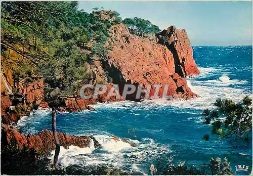 Cartes postales moderne La Cote d'Azur Franch Riviera La Corniche d'Or