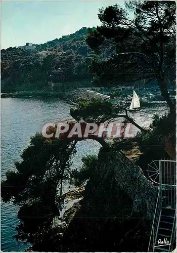 Cartes postales moderne La Cote d'Azur Varoise Giens (Var) Contre Jour Jardin du Provencal in coin du Niel