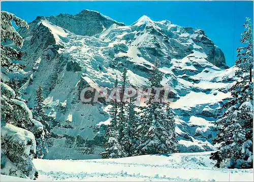 Cartes postales moderne Wengen Jungfrau 4158 m Schneehorm