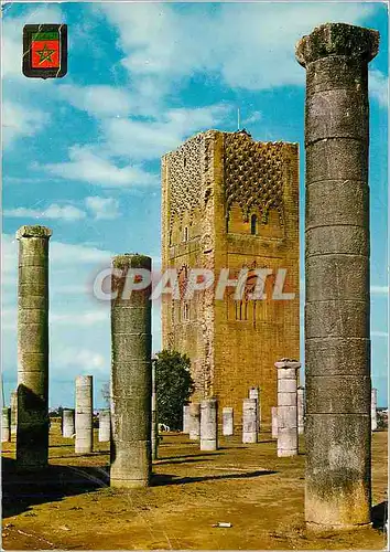 Cartes postales moderne Rabat Tour Hassan