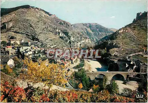 Cartes postales moderne Les Gorges du Tarn Sainte Enimie Cite mediavale
