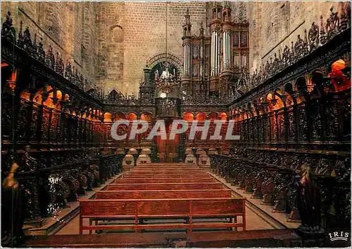 Cartes postales moderne Saint Bertrand de Comminges (Hautes Garonne) Interieur de la Cathedrale les orgues et les Stalle