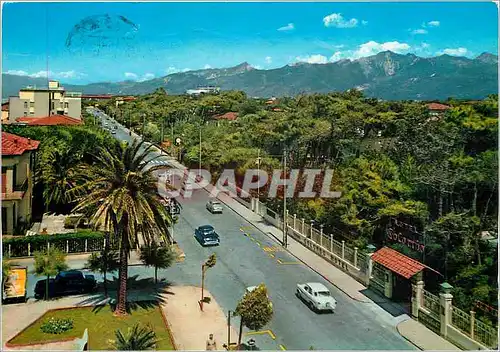 Cartes postales moderne Lidon du Camaiore Avenur Colombo Timbre Ours