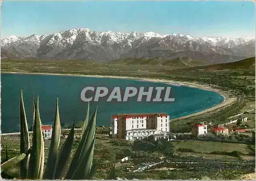 Cartes postales moderne La Corse Ile de Beaute Calci la plage et le tond du Golfe