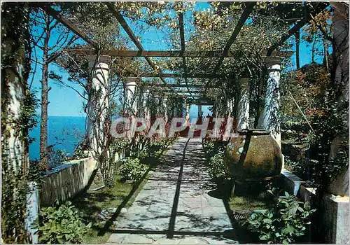 Cartes postales moderne Ana Capri Saint Michael Le Treilllis