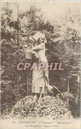 Cartes postales Strasbourg A l'Orangeri Ganseliesl