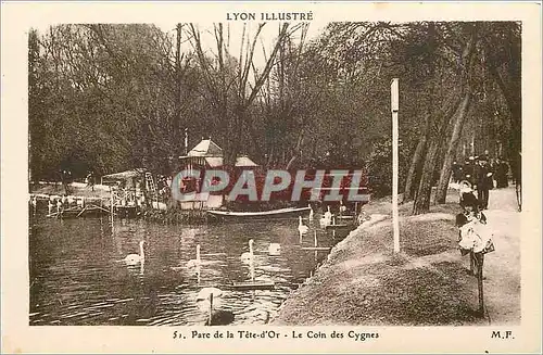 Cartes postales Lyon Illusstre Parc de la Tete d'Or le Coin des Cygne