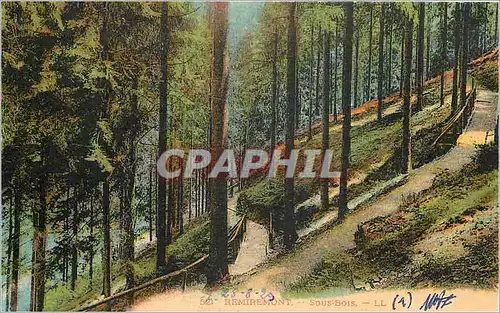 Cartes postales Remiremont Sous Bois