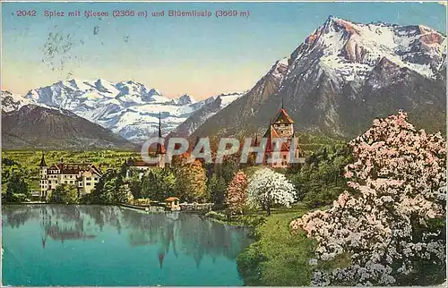 Cartes postales Spiez mit Niessen (2366 m) und Bluenllsalp(3669 m)