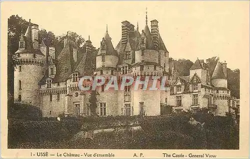 Cartes postales Usse le Chateau vue d'ensemble