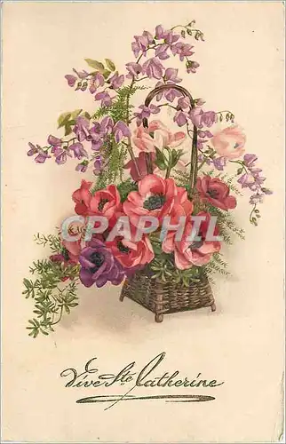 Cartes postales Vive Ste Catherine