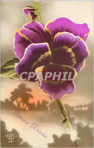 Cartes postales Bonne Annee