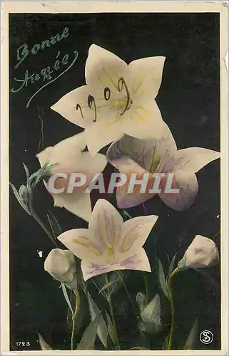 Cartes postales Bonne Annee