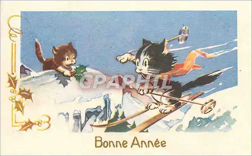Cartes postales Bonne Annee Ski Chats