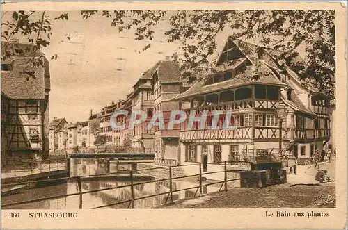 Cartes postales Strasbourg Le Bain aux plantes