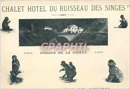 Cartes postales Chalet Hotel du Ruisseau des Singes Gorges de la Chiffa Singes