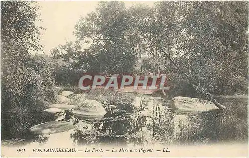 Ansichtskarte AK Fontainebleau La Foret La Mare aux Pigeons