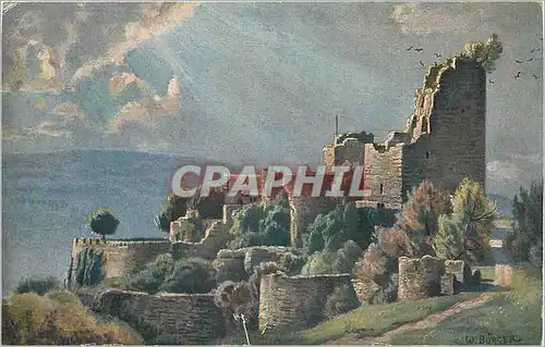 Cartes postales Vogesenburgen Schlossruine Lutzelburg