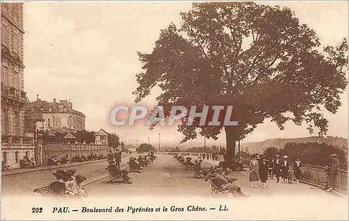 Cartes postales Pau Boulevard des Pyrenees et le Gros Chene