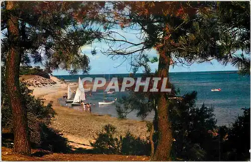 Cartes postales moderne Ile De Re Charente Maritime 17 Les Portes Plage de Trousse Chemise