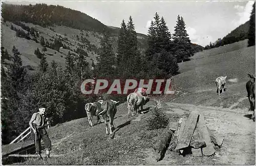 Moderne Karte Morgins Col de l'Aberieux Vaches