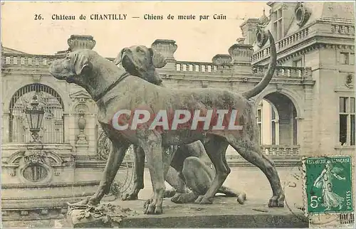 Ansichtskarte AK Chateau de Chantilly Chiens de meute par Cain