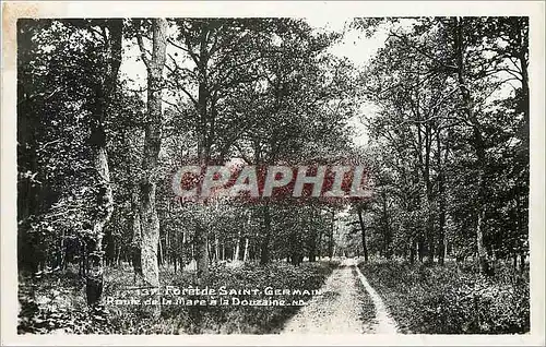 Cartes postales moderne Foret de Saint Germain Route de la Mare a la Douzaine