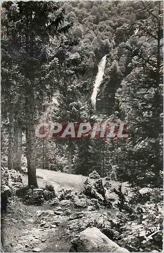 Cartes postales moderne Environs de La Ferriere d'Allevard Isere Fond de France La cascade du Pissou