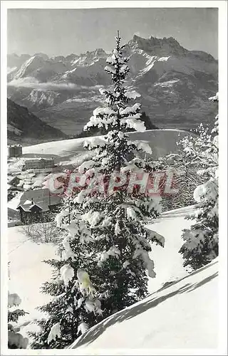 Cartes postales moderne Leysin La Dent du Midi