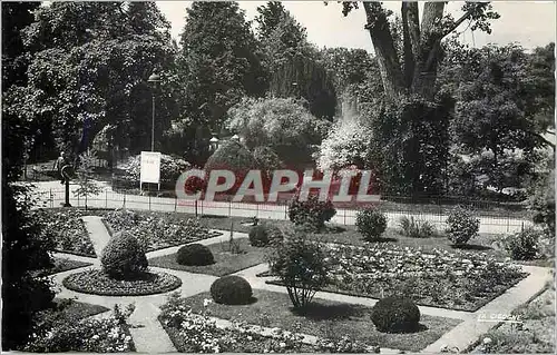 Cartes postales moderne Vichy Allier Reine des Villes d'Eaux Le Parc des Cygnes