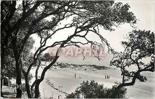 Moderne Karte Ile de Noirmoutier Vendee Echappee au bois  de la Chaize