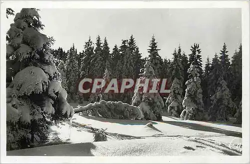 Cartes postales moderne Les Vosges en hiver Effet de neige