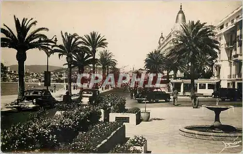 Cartes postales moderne La Cote d'Azur Cannes La Croisette