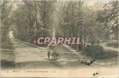 Cartes postales Arras L'Avenue des Promenades