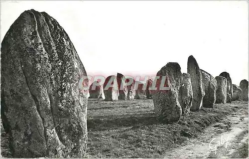 Cartes postales moderne Carnac Morbihan Menhirs de Kermario