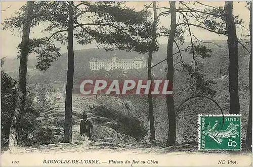 Ansichtskarte AK Bagnoles de l'Orne Plateau du Roc au Chien