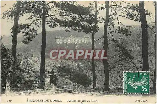 Cartes postales Bagnoles de l'Orne Plateau du Roc au Chien