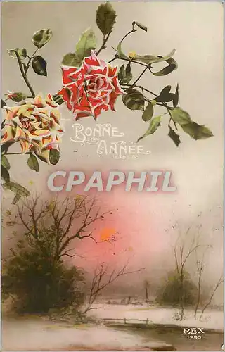 Cartes postales Bonne Annee