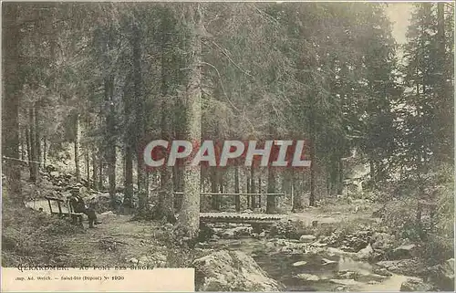 Ansichtskarte AK Gerardmer Au Pont des Singes