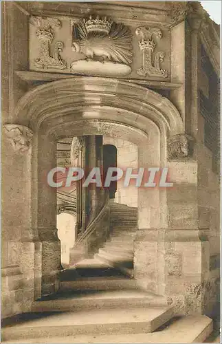 Cartes postales Blois Le Chateau Aile Louis XII Le Grand Escalier