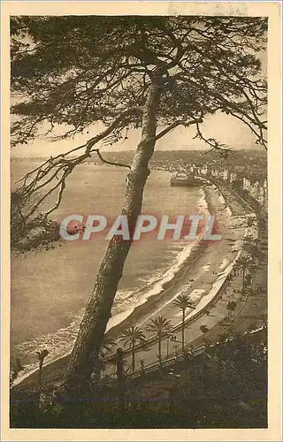 Cartes postales Nice Vue prise du Chateau