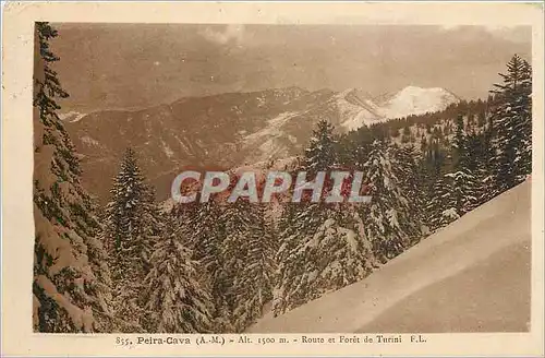 Cartes postales Peira Cava AM Route et Foret de Turini