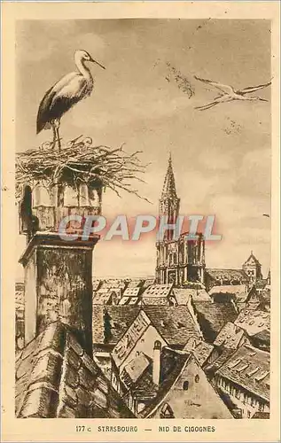 Cartes postales Strasbourg Nid de Cigognes