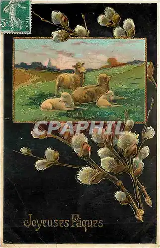 Cartes postales Joyeuses Paques Agneaux