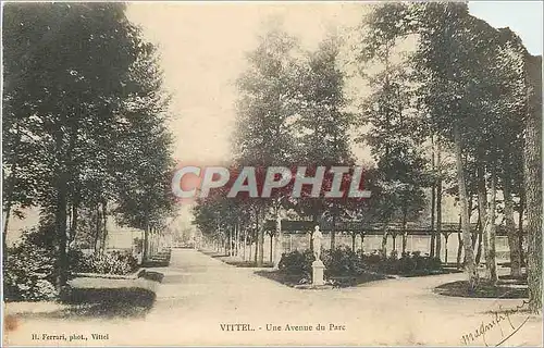 Ansichtskarte AK Vittel Une Avenue du Parc