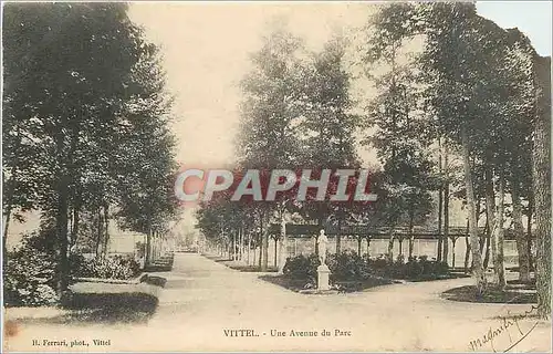 Cartes postales Vittel Une Avenue du Parc