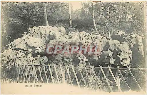 Cartes postales Foret de Fontainebleau Roche Eponge